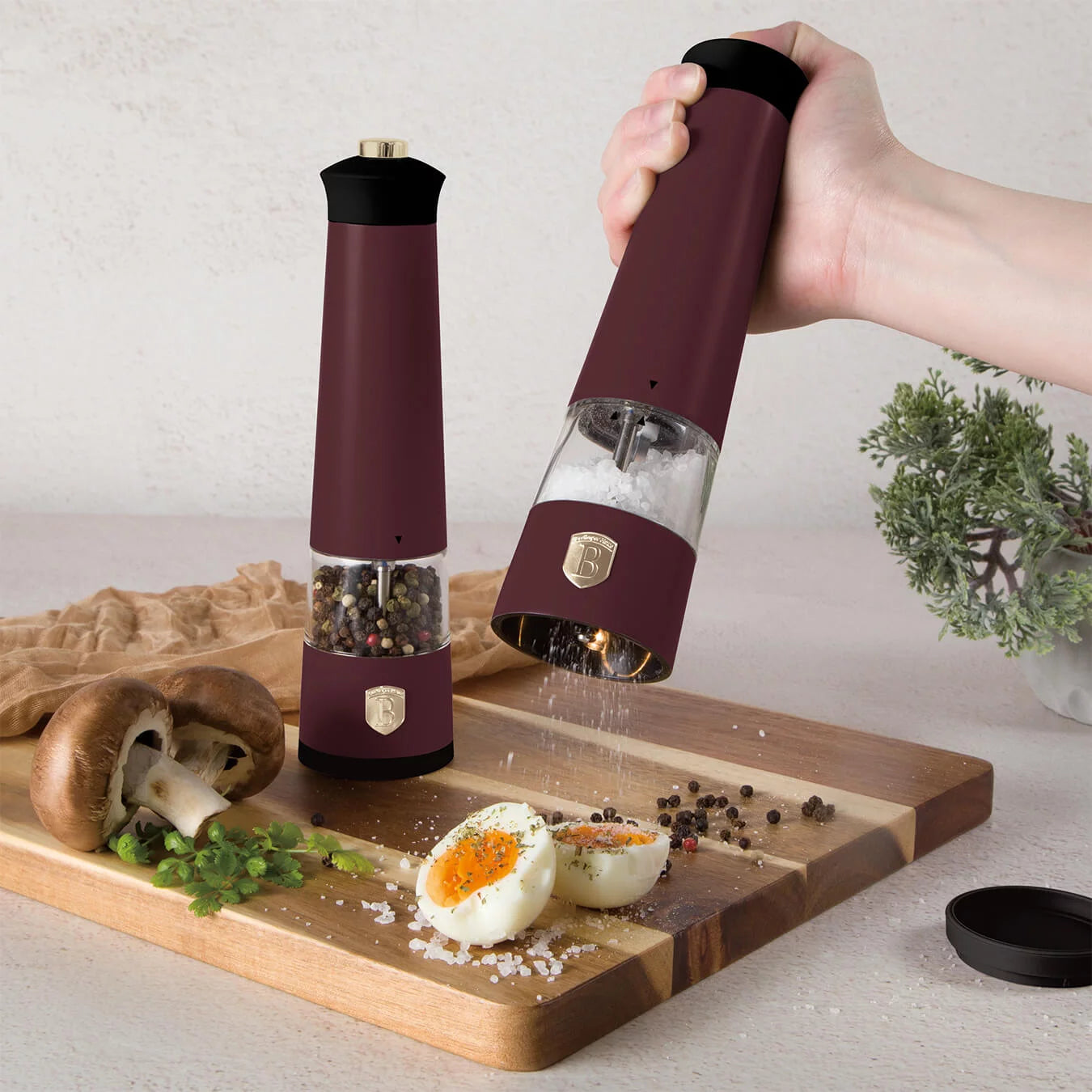 Berlinger Haus Electric Salt & Pepper Leonardo